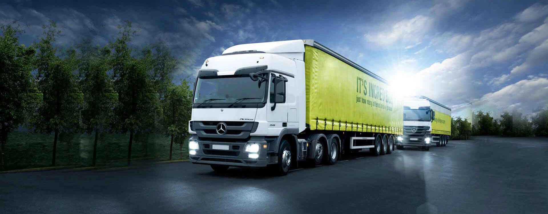 DHE Group EXIM solutions and trade management banner